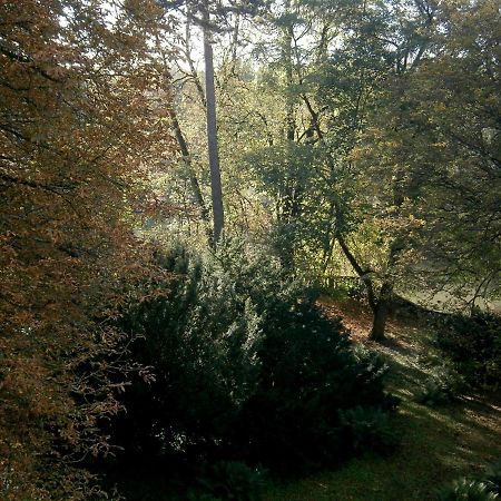 La Rêverie Montbéliard Esterno foto